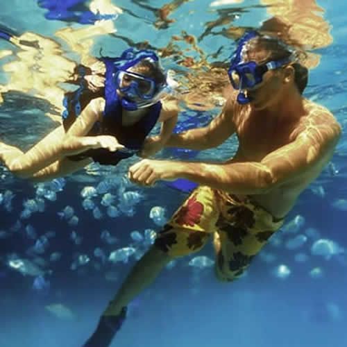 Vallarta By Boat Tours En Puerto Vallarta Snorkel