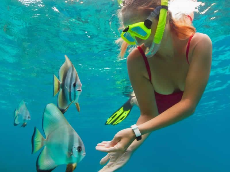 Vallarta By Boat Tours En Puerto Vallarta