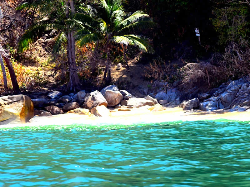 Vallarta By Boat Tours En Puerto Vallarta