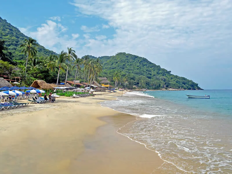 Vallarta By Boat Tours En Puerto Vallarta